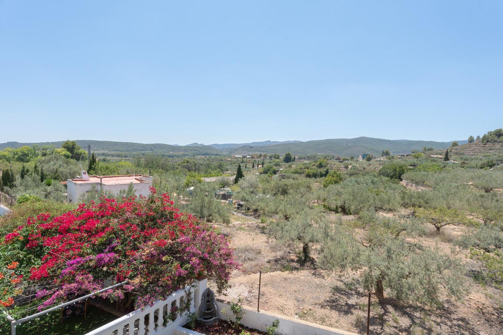 El Cachorro Villa Altura ภายนอก รูปภาพ